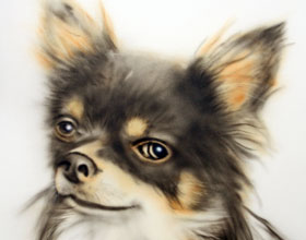 Airbrushbild, Motiv: Hund